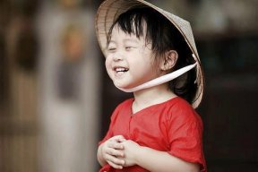 mạng VIệt Nam